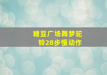 糖豆广场舞梦驼铃28步慢动作