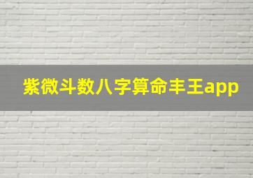 紫微斗数八字算命丰王app