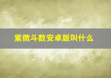 紫微斗数安卓版叫什么