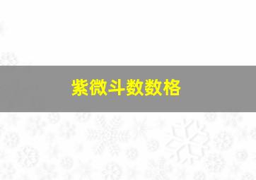 紫微斗数数格