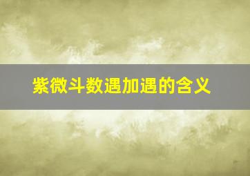 紫微斗数遇加遇的含义