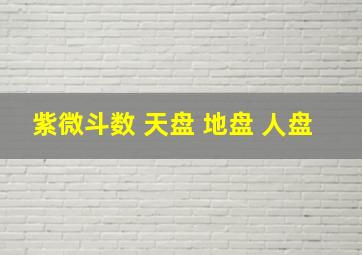 紫微斗数 天盘 地盘 人盘