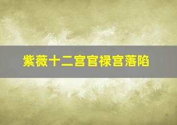 紫薇十二宫官禄宫落陷