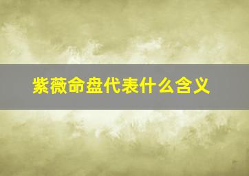 紫薇命盘代表什么含义