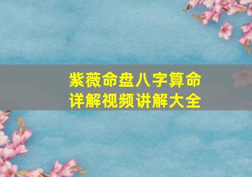 紫薇命盘八字算命详解视频讲解大全