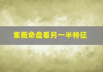 紫薇命盘看另一半特征