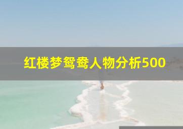 红楼梦鸳鸯人物分析500