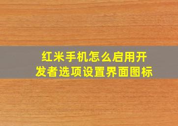 红米手机怎么启用开发者选项设置界面图标