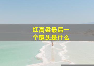 红高粱最后一个镜头是什么