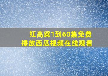 红高粱1到60集免费播放西瓜视频在线观看