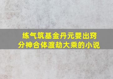 练气筑基金丹元婴出窍分神合体渡劫大乘的小说