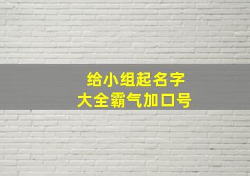 给小组起名字大全霸气加口号