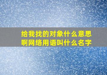 给我找的对象什么意思啊网络用语叫什么名字