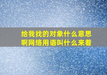 给我找的对象什么意思啊网络用语叫什么来着