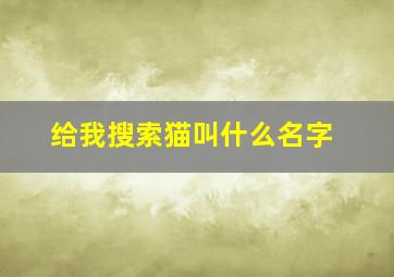 给我搜索猫叫什么名字