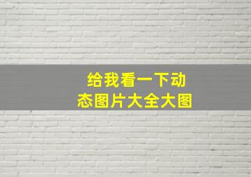 给我看一下动态图片大全大图