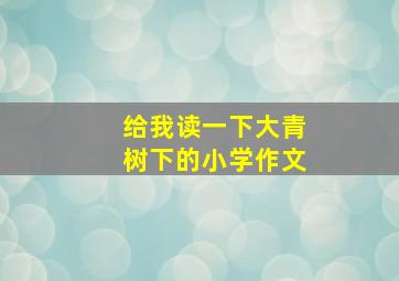 给我读一下大青树下的小学作文