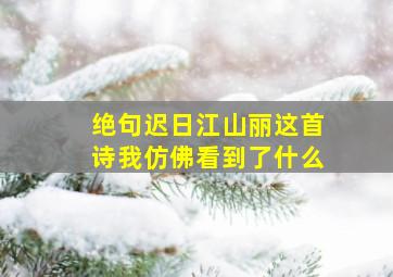 绝句迟日江山丽这首诗我仿佛看到了什么