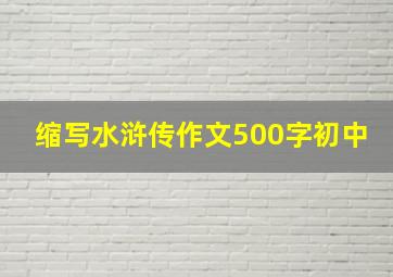 缩写水浒传作文500字初中