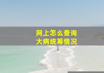 网上怎么查询大病统筹情况