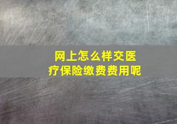 网上怎么样交医疗保险缴费费用呢