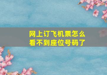 网上订飞机票怎么看不到座位号码了