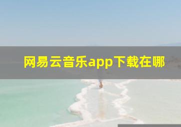 网易云音乐app下载在哪