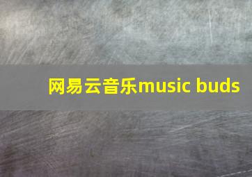 网易云音乐music buds