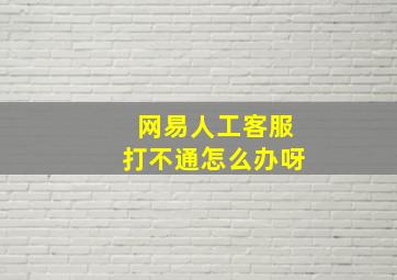 网易人工客服打不通怎么办呀