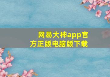 网易大神app官方正版电脑版下载