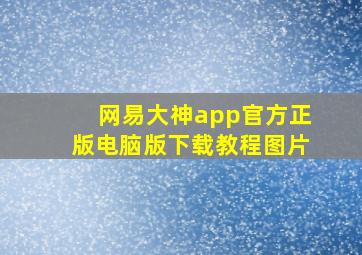 网易大神app官方正版电脑版下载教程图片