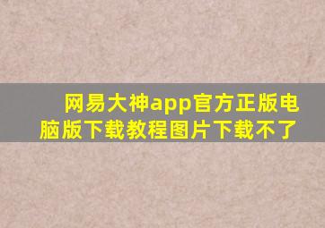 网易大神app官方正版电脑版下载教程图片下载不了