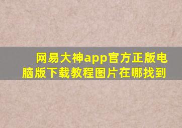 网易大神app官方正版电脑版下载教程图片在哪找到