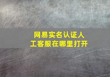 网易实名认证人工客服在哪里打开