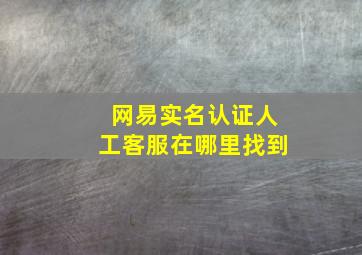 网易实名认证人工客服在哪里找到