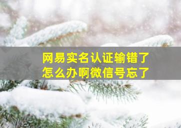 网易实名认证输错了怎么办啊微信号忘了