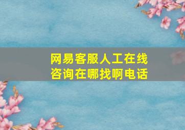 网易客服人工在线咨询在哪找啊电话