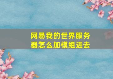 网易我的世界服务器怎么加模组进去