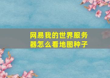 网易我的世界服务器怎么看地图种子