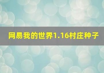 网易我的世界1.16村庄种子