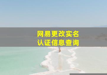 网易更改实名认证信息查询