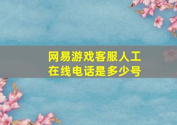 网易游戏客服人工在线电话是多少号