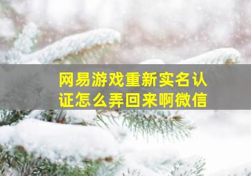 网易游戏重新实名认证怎么弄回来啊微信