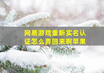 网易游戏重新实名认证怎么弄回来啊苹果