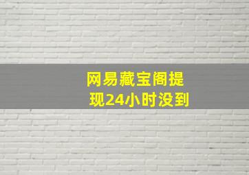 网易藏宝阁提现24小时没到