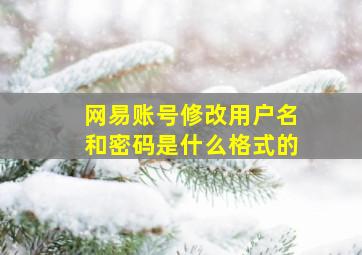 网易账号修改用户名和密码是什么格式的