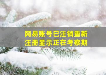 网易账号已注销重新注册显示正在考察期