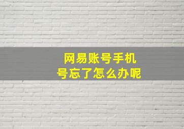 网易账号手机号忘了怎么办呢