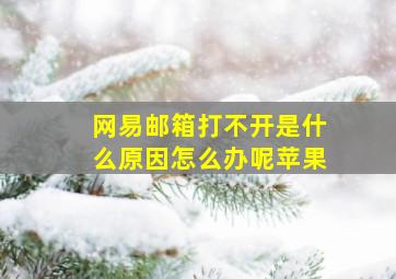 网易邮箱打不开是什么原因怎么办呢苹果