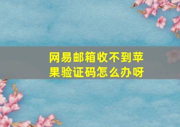 网易邮箱收不到苹果验证码怎么办呀